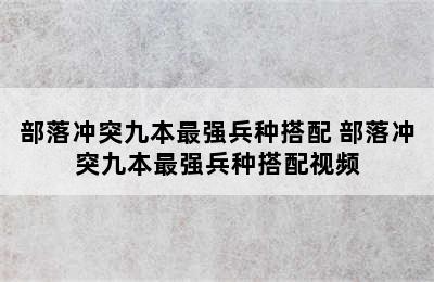 部落冲突九本最强兵种搭配 部落冲突九本最强兵种搭配视频